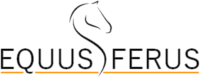 EquusFerus logo stylised horse